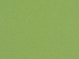 Sunbrella Ginkgo (54011-0000)